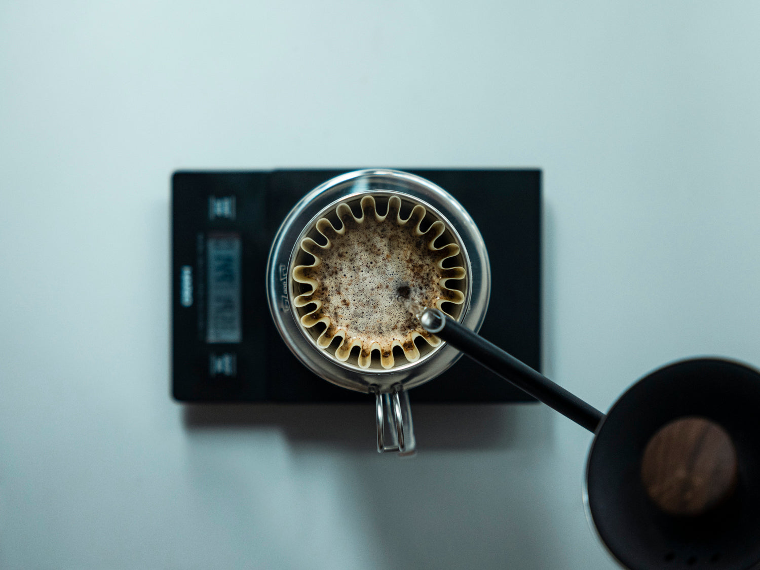 How to brew with Kalita Wave by kurasu.shop 2023